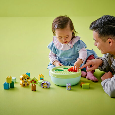 10441-lego-duplo-6.jpg 3e5b8e370aec56552df7d06e910d20e8