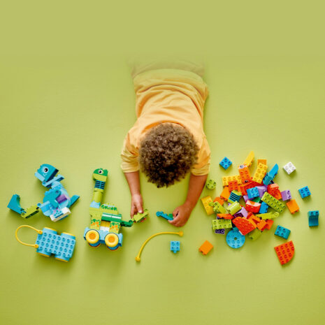 10451-lego-duplo-3.jpg 77fa581ff1308d956a97304b894cee8a