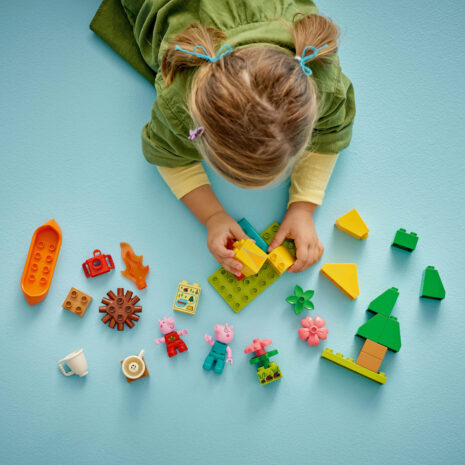 10452-lego-duplo-5.jpg cbcf95b1a7f6e915421146534533df49