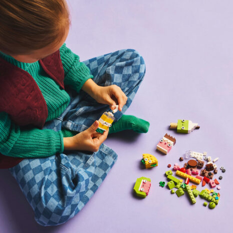 11039-lego-classic-5.jpg 6d318817e7d8d3f3cff616abd898615c