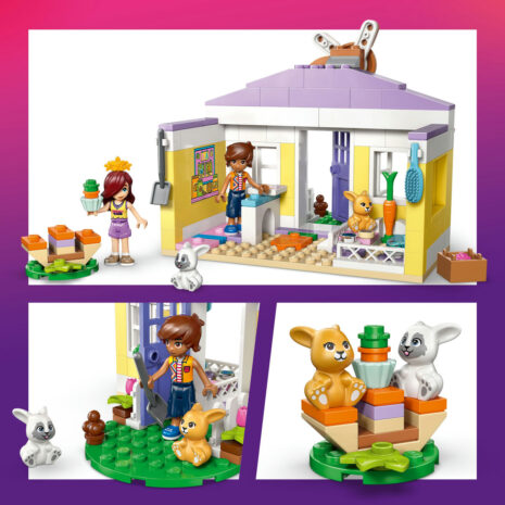 42679-lego-friends-6.jpg ebc5ecbc9f47f5a8634972476742adb7