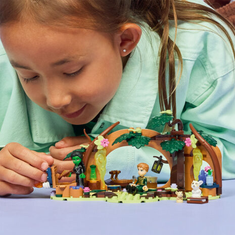 75687-lego-wicked-3.jpg 7c51e8dae6481ce764697b8a6aed963d