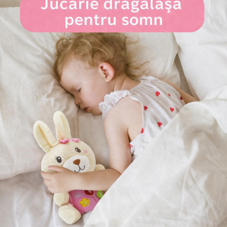 9ee337fa3aed26fd9577a56066db441b.png 8a4ff1cefd663dc0879c527ad9e2f8e1